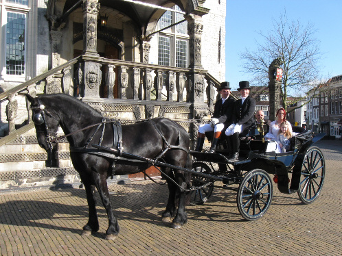 http://dutchride.nl/images/template-content/IMG_4544.jpg