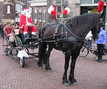 http://dutchride.nl/images/Slee2.jpg